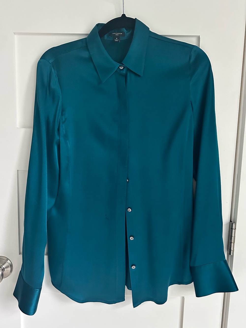 Ann Taylor Stretch Silk Teal Button-Down